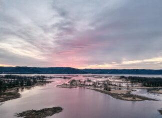 Frozen River Book Review: Why This Haunting Story Stays With Readers Frozen River Book Review: Why This Haunting Story Stays With Readers