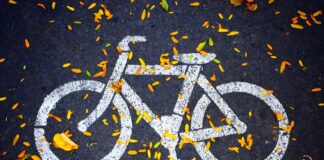 Fuji Bikes Ranked: Which Models Are Best For Every Rider?