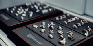 Gabriel Byrne: Life Story, Career Highlights, and Full Biography