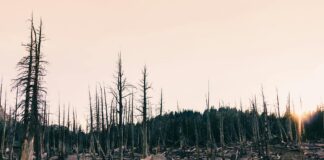 Gabriel Iglesias: Life Story, Career Highlights, and Full Biography