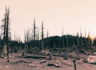 Gabriel Iglesias: Life Story, Career Highlights, and Full Biography Gabriel Iglesias: Life Story, Career Highlights, and Full Biography