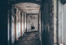 Gary Oldman: Life Story, Career Highlights, and Full Biography