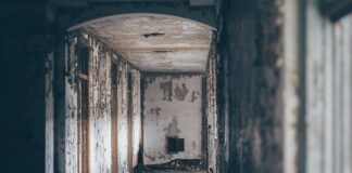 Gary Oldman: Life Story, Career Highlights, and Full Biography