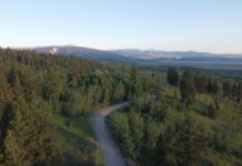 Gene Kelly: Life Story, Career Highlights, and Full Biography Gene Kelly: Life Story, Career Highlights, and Full Biography