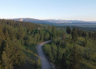 Gene Kelly: Life Story, Career Highlights, and Full Biography Gene Kelly: Life Story, Career Highlights, and Full Biography