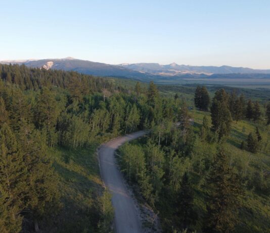 Gene Kelly: Life Story, Career Highlights, and Full Biography Gene Kelly: Life Story, Career Highlights, and Full Biography