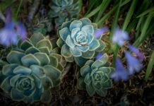 George Ezra: Life Story, Career Highlights, and Full Biography