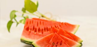 Green Chartreuse Cocktail Secrets: What Makes This Herbal Liqueur Unique