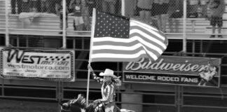 Hailey Bieber: Life Story, Career Highlights, and Full Biography