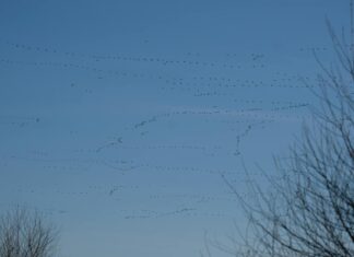 Hailey Davis Social Media Buzz: Who Is She And Why’s She Trending? Hailey Davis Social Media Buzz: Who Is She And Why’s She Trending?