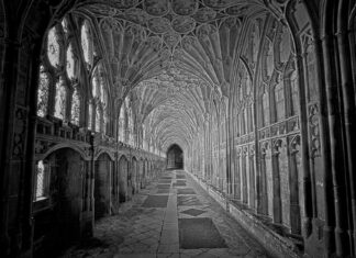 Harry Kane: Life Story, Career Highlights, and Full Biography Harry Kane: Life Story, Career Highlights, and Full Biography