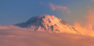 Hasan Minhaj: Life Story, Career Highlights, and Full Biography