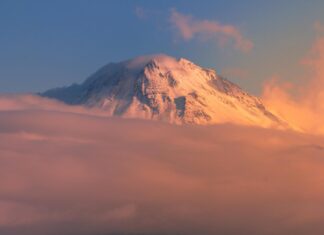 Hasan Minhaj: Life Story, Career Highlights, and Full Biography Hasan Minhaj: Life Story, Career Highlights, and Full Biography