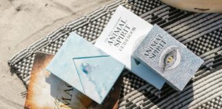 Heartless Hunter Book Review: Why This Fantasy Is A Must-Read