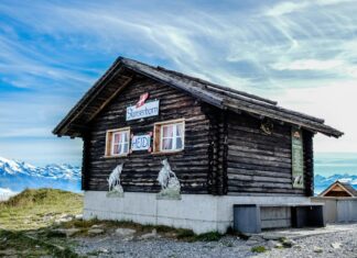 Heidi Klum: Life Story, Career Highlights, and Full Biography Heidi Klum: Life Story, Career Highlights, and Full Biography