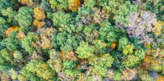 Idris Elba: Life Story, Career Highlights, and Full Biography Idris Elba: Life Story, Career Highlights, and Full Biography