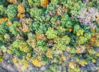 Idris Elba: Life Story, Career Highlights, and Full Biography Idris Elba: Life Story, Career Highlights, and Full Biography