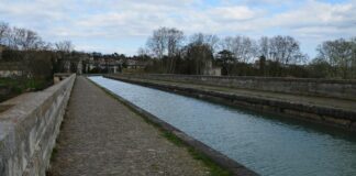 Isabelle Adjani: Life Story, Career Highlights, and Full Biography