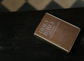 James McAvoy: Life Story, Career Highlights, and Full Biography James McAvoy: Life Story, Career Highlights, and Full Biography