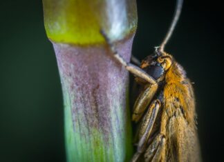 Jeffrey Wright: Life Story, Career Highlights, and Full Biography Jeffrey Wright: Life Story, Career Highlights, and Full Biography