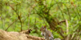 Jenna Bush Hager: Life Story, Career Highlights, and Full Biography