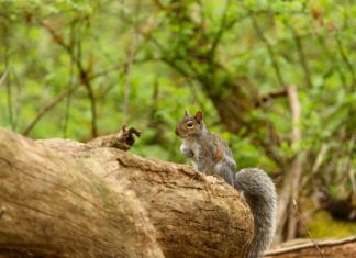 Jenna Bush Hager: Life Story, Career Highlights, and Full Biography Jenna Bush Hager: Life Story, Career Highlights, and Full Biography