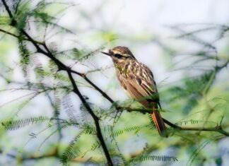 Jennifer Lopez: Life Story, Career Highlights, and Full Biography Jennifer Lopez: Life Story, Career Highlights, and Full Biography
