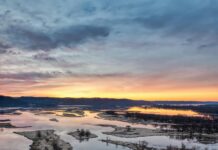 Jesy Nelson: Life Story, Career Highlights, and Full Biography