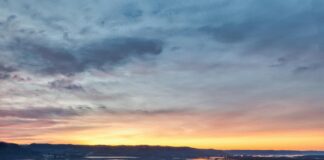 Jesy Nelson: Life Story, Career Highlights, and Full Biography