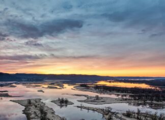 Jesy Nelson: Life Story, Career Highlights, and Full Biography Jesy Nelson: Life Story, Career Highlights, and Full Biography