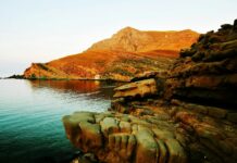 Jo Koy: Life Story, Career Highlights, and Full Biography