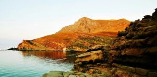 Jo Koy: Life Story, Career Highlights, and Full Biography