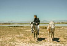 Jodie Comer: Life Story, Career Highlights, and Full Biography