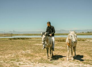 Jodie Comer: Life Story, Career Highlights, and Full Biography Jodie Comer: Life Story, Career Highlights, and Full Biography