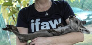 Joey Jay: Life Story, Career Highlights, and Full Biography