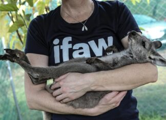 Joey Jay: Life Story, Career Highlights, and Full Biography Joey Jay: Life Story, Career Highlights, and Full Biography