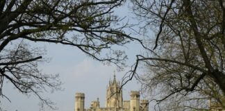 John Oliver: Life Story, Career Highlights, and Full Biography