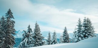 Jon Rahm: Life Story, Career Highlights, and Full Biography