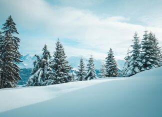 Jon Rahm: Life Story, Career Highlights, and Full Biography Jon Rahm: Life Story, Career Highlights, and Full Biography