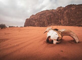 Jordan Spieth: Life Story, Career Highlights, and Full Biography Jordan Spieth: Life Story, Career Highlights, and Full Biography