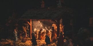 Joseph Gordon-Levitt: Life Story, Career Highlights, and Full Biography