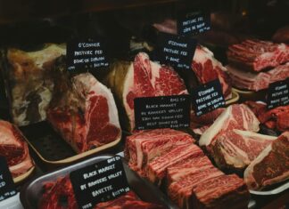 Josh O’Connor: Life Story, Career Highlights, and Full Biography Josh O'Connor: Life Story, Career Highlights, and Full Biography