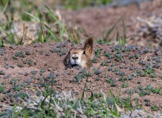 Julia Roberts: Life Story, Career Highlights, and Full Biography Julia Roberts: Life Story, Career Highlights, and Full Biography