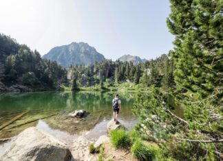 Kaia Gerber: Life Story, Career Highlights, and Full Biography Kaia Gerber: Life Story, Career Highlights, and Full Biography