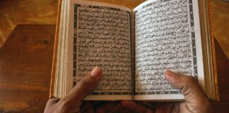 Kareem Abdul-Jabbar: Life Story, Career Highlights, and Full Biography