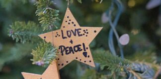 Kate Winslet: Life Story, Career Highlights, and Full Biography