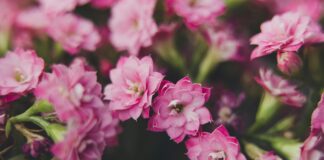 Katie Couric: Life Story, Career Highlights, and Full Biography