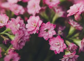 Katie Couric: Life Story, Career Highlights, and Full Biography Katie Couric: Life Story, Career Highlights, and Full Biography