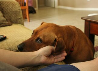 Katy Tur: Life Story, Career Highlights, and Full Biography Katy Tur: Life Story, Career Highlights, and Full Biography