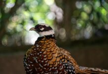 Keanu Reeves: Life Story, Career Highlights, and Full Biography Keanu Reeves: Life Story, Career Highlights, and Full Biography